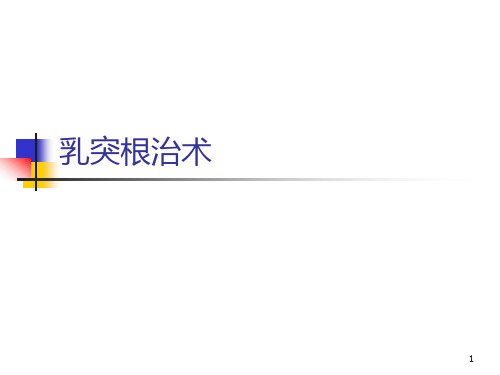 乳突根治术ppt课件