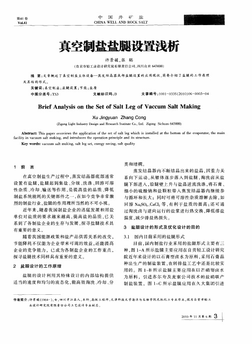 真空制盐盐腿设置浅析