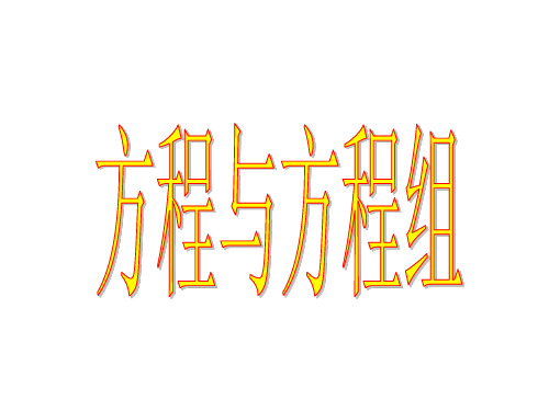 中考数学复习方程与方程组[人教版](教学课件201909)