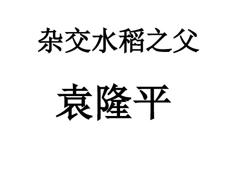杂交水稻之父—袁隆平.ppt