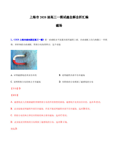 2020年上海市高三一模专题汇编—08 磁场—真题+参考答案+评分标准