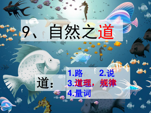 四年级下册语文课件-第九课《自然之道》｜人教新课标 (共37张PPT)