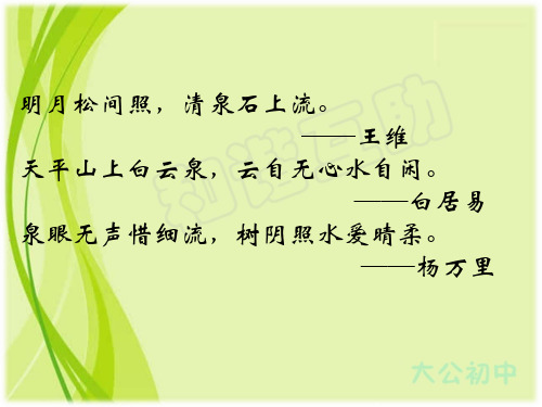 人教版九年级语文现代文阅读课件：鼎湖山听泉 (共27张PPT)