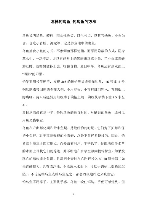 怎样钓乌鱼 钓乌鱼的方法