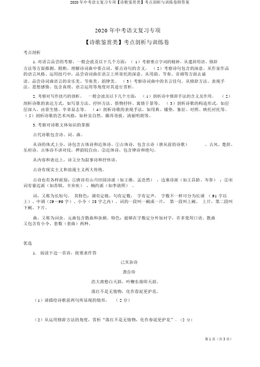 2020年中考语文复习专项【诗歌鉴赏类】考点分析与训练卷附答案