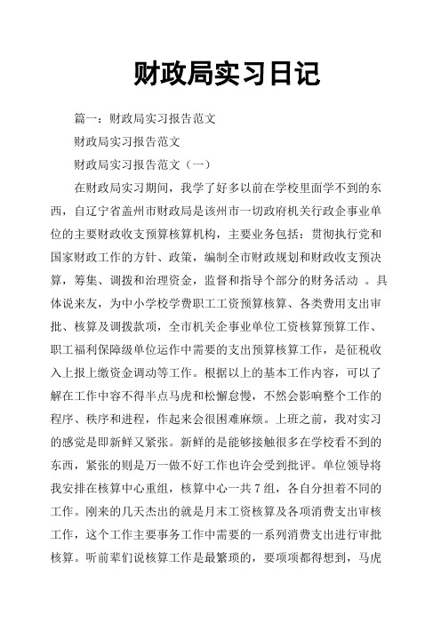 财政局实习日记