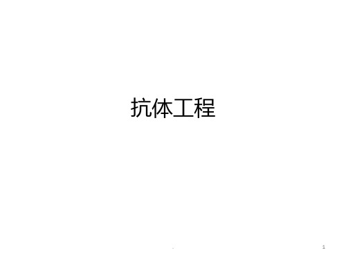 抗体工程要点PPT课件