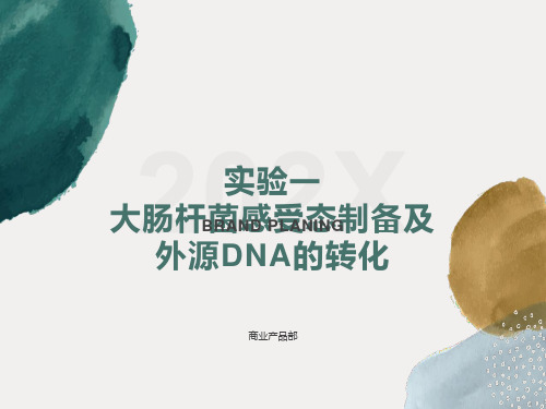大肠杆菌感受态制备及转化