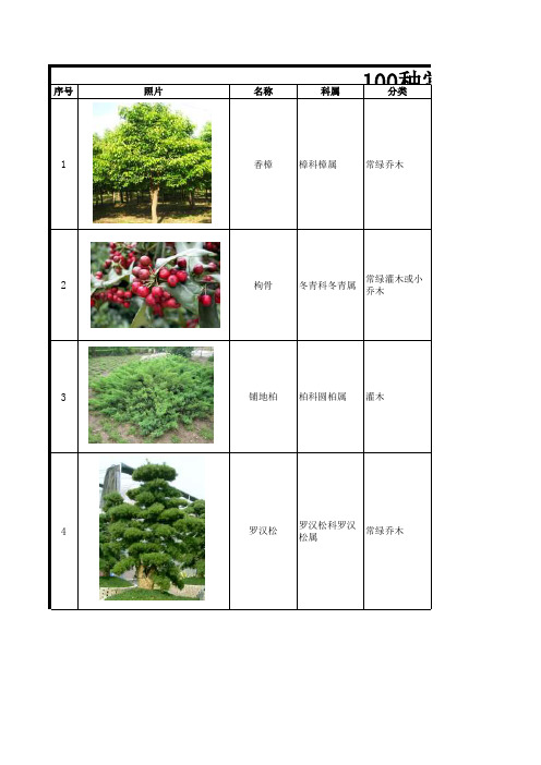 100种常见绿化植被