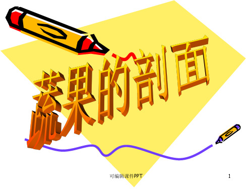 四年级上册美术《蔬果的剖面》ppt课件