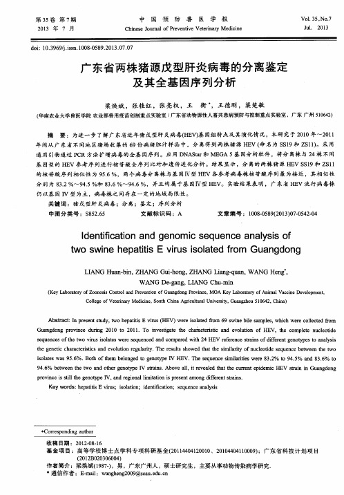 广东省两株猪源戊型肝炎病毒的分离鉴定及其全基因序列分析