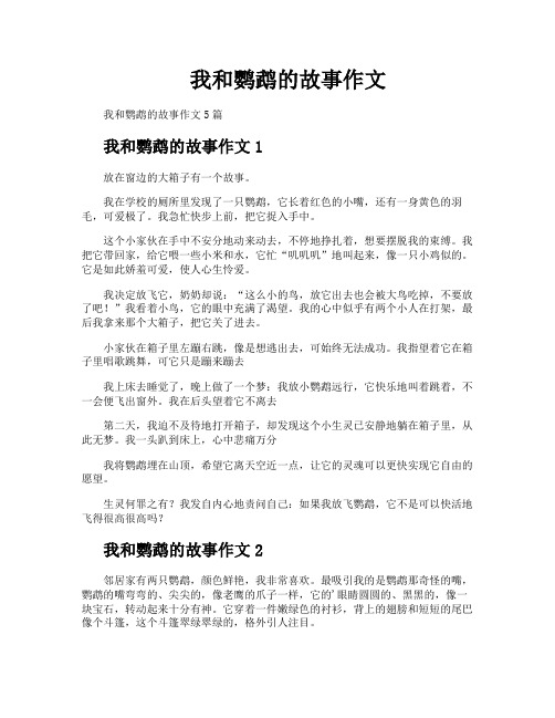 我和鹦鹉的故事作文