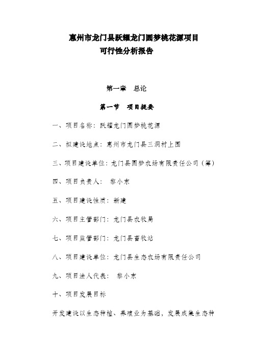 惠州市龙门县跃耀龙门圆梦桃花源项目可行性分析报告