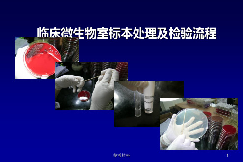 临床微生物室标本处理及操作流程(严选课件)