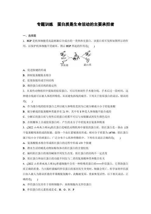 2022届高三二轮复习生物专题训练 蛋白质是生命活动的主要承担者