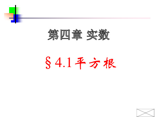 4.1平方根 课件 苏科版数学八年级上册