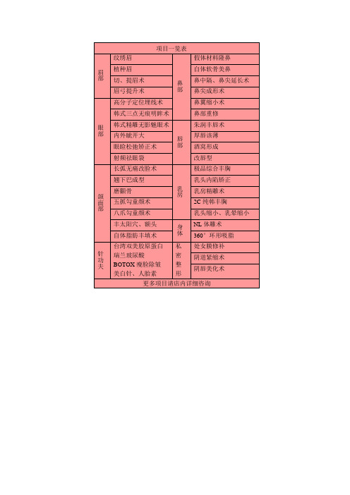 美容院项目表