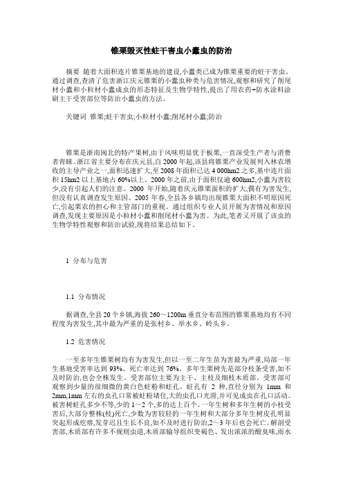 锥栗毁灭性蛀干害虫小蠹虫的防治