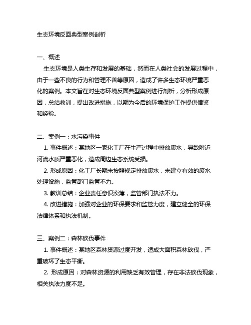 在生态环境反面典型案例剖析方面的问题