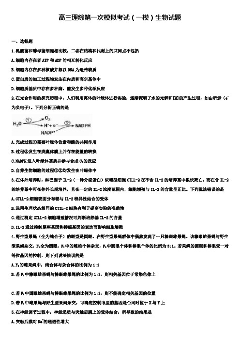 (理综物理一模试卷合集)宁波市达标名校高三物理(10份合集)第一次模拟试卷含答案