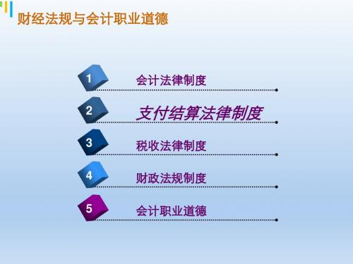 财经法规与会计职业道德 (2)