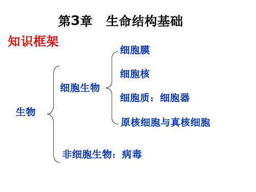 沪教版生物高一第一册-3.1生命结构基础 课件  