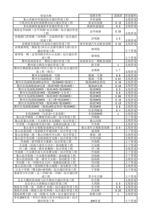 宁波主干道路统计表