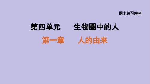 人教版七年级生物下册 各单元知识总结