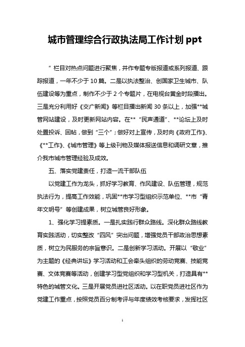 城市管理综合行政执法局工作计划ppt