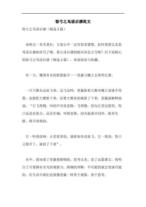 惊弓之鸟读后感范文