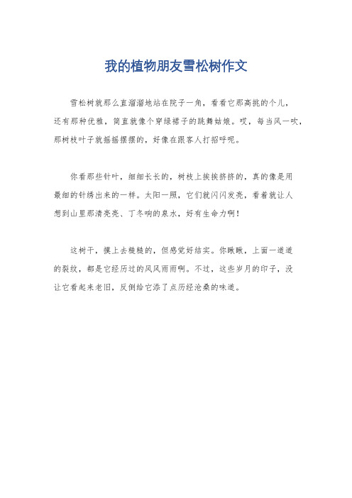 我的植物朋友雪松树作文