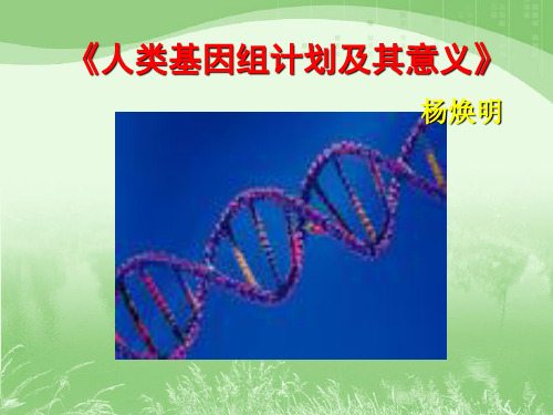 高中语文人类基因组计划及其意义ppt3 苏教版精品课件