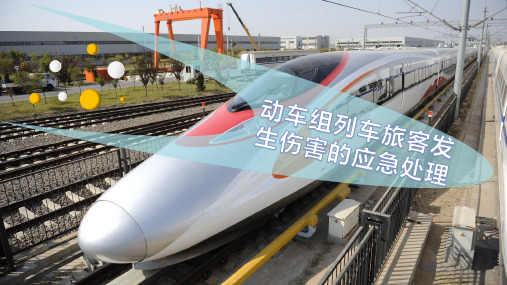 动车组列车旅客发生伤害的应急处理