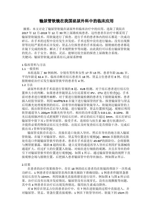 输尿管软镜在我国泌尿外科中的临床应用