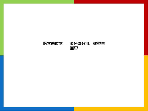 [医学]医学遗传学——染色体分组、核型与显带