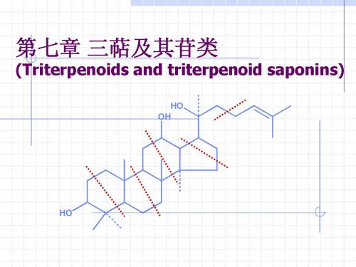 7 三萜及其苷类