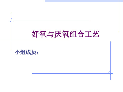 好样与厌氧组合工艺