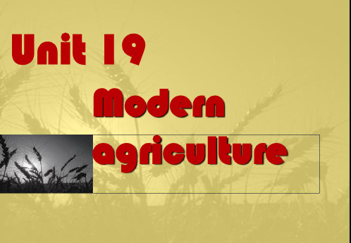 人教版高一英语下册Unit19 Modern agriculture