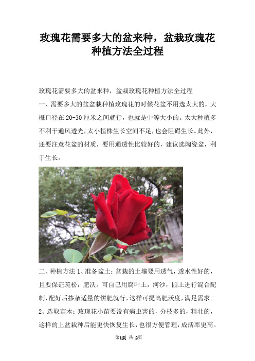 玫瑰花需要多大的盆来种，盆栽玫瑰花种植方法全过程