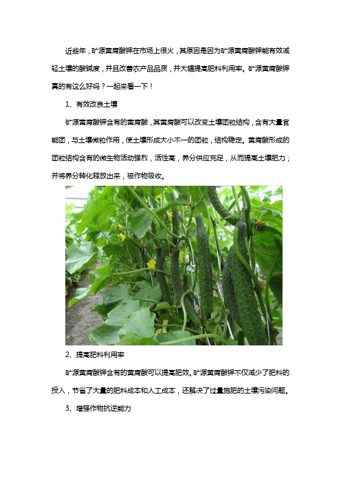 矿源黄腐酸钾效果怎么样