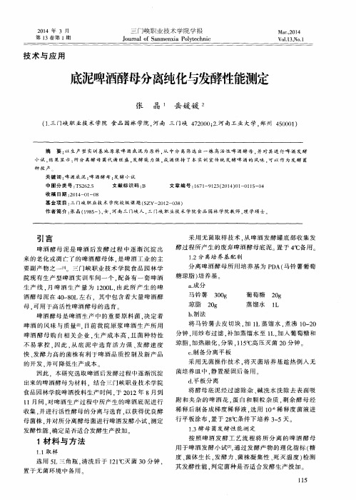 底泥啤酒酵母分离纯化与发酵性能测定