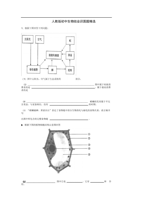人教版初中生物识图专题整理版汇总