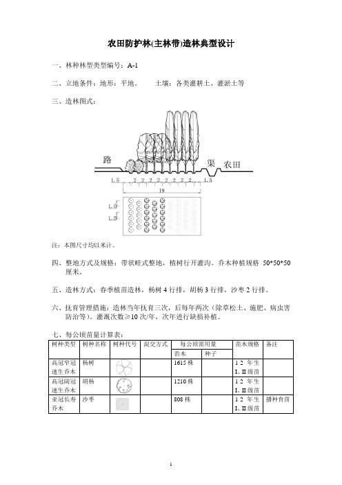 造林典型设计