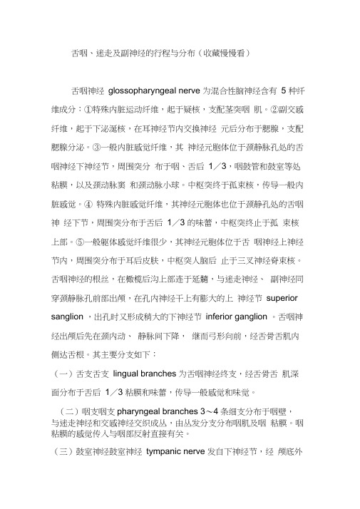 舌咽、迷走及副神经的行程与分布(收藏慢慢看)