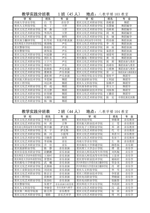 9班 教学实践分班表