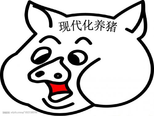 现代养猪生产