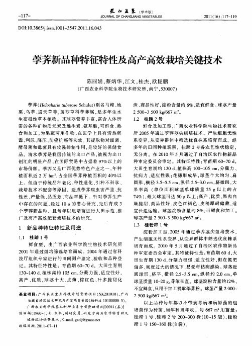 荸荠新品种特征特性及高产高效栽培关键技术