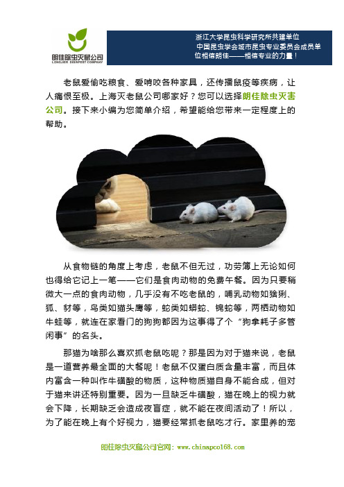 上海灭老鼠公司