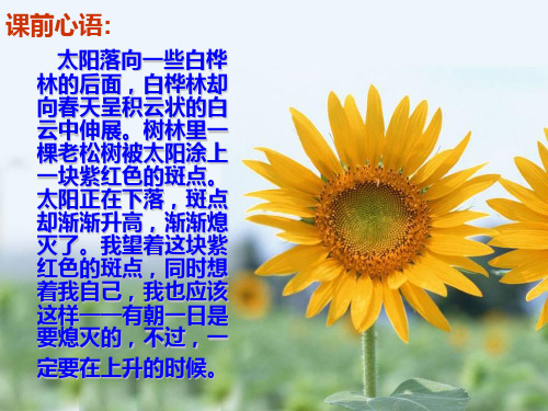 论述类文本阅读解题技巧PPT课件