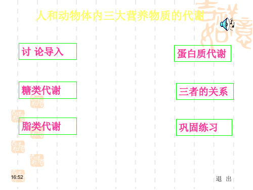 高三生物课件 人和动物体内三大营养物质复习